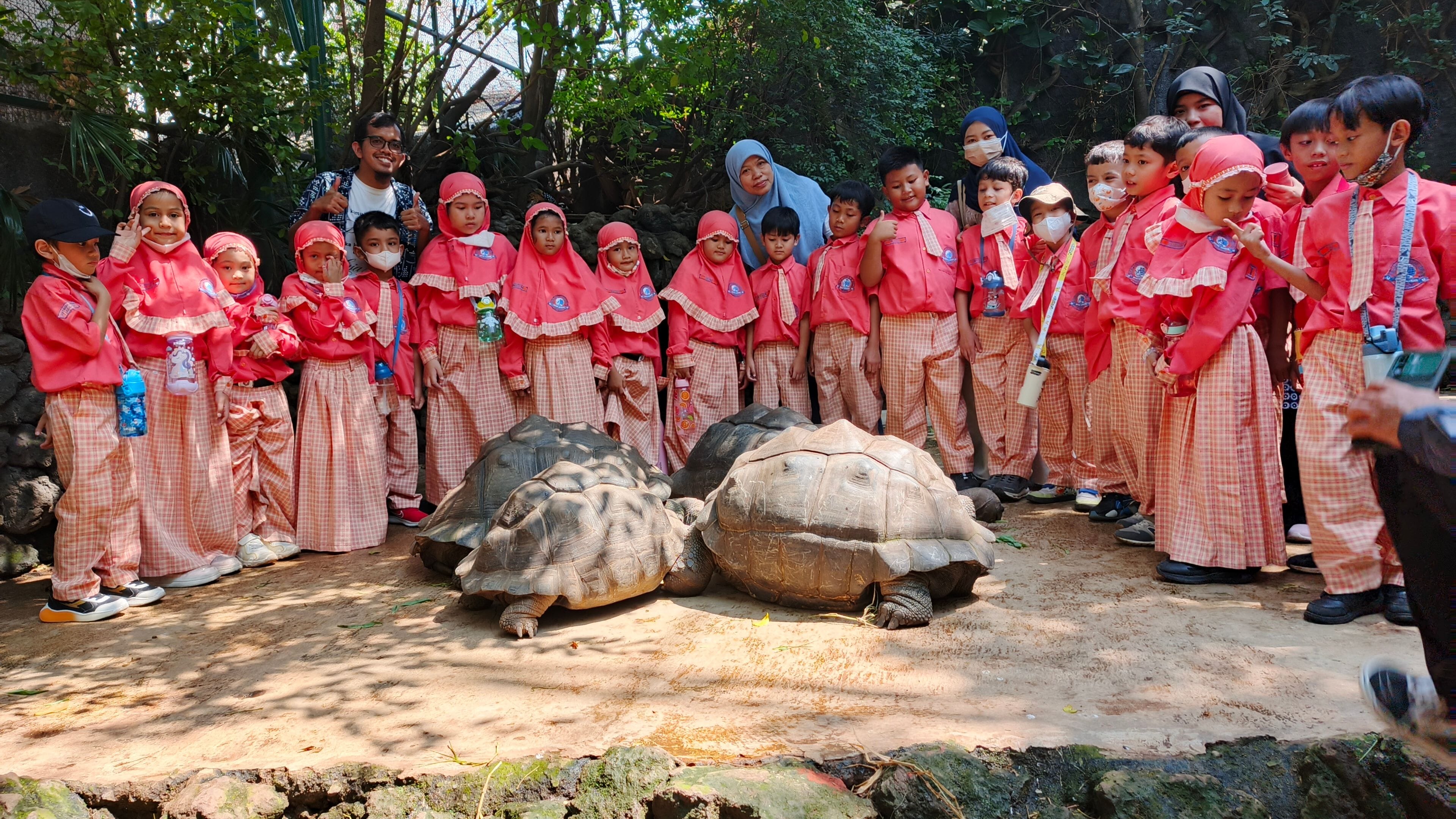 Outing Class Fase A Kenalkan Anak pada Dunia Satwa